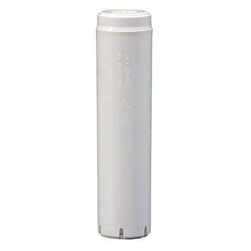 Culligan D-20A activated carbon closeup showing adsorption media for taste improvement