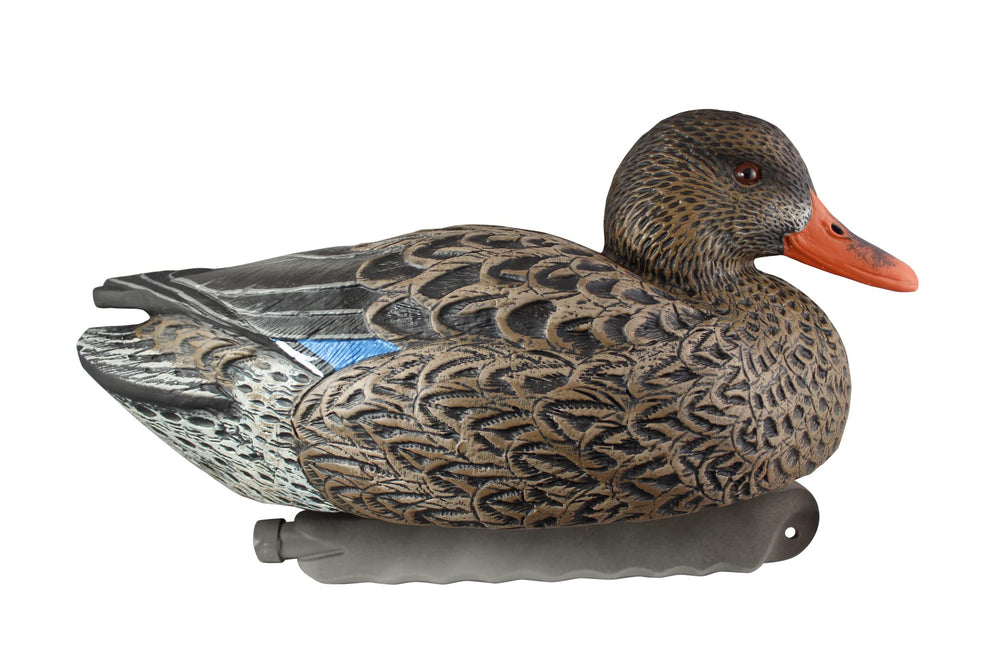 Cupped Waterfowl decoy made of heavy-duty plastic for durability in long seasons.