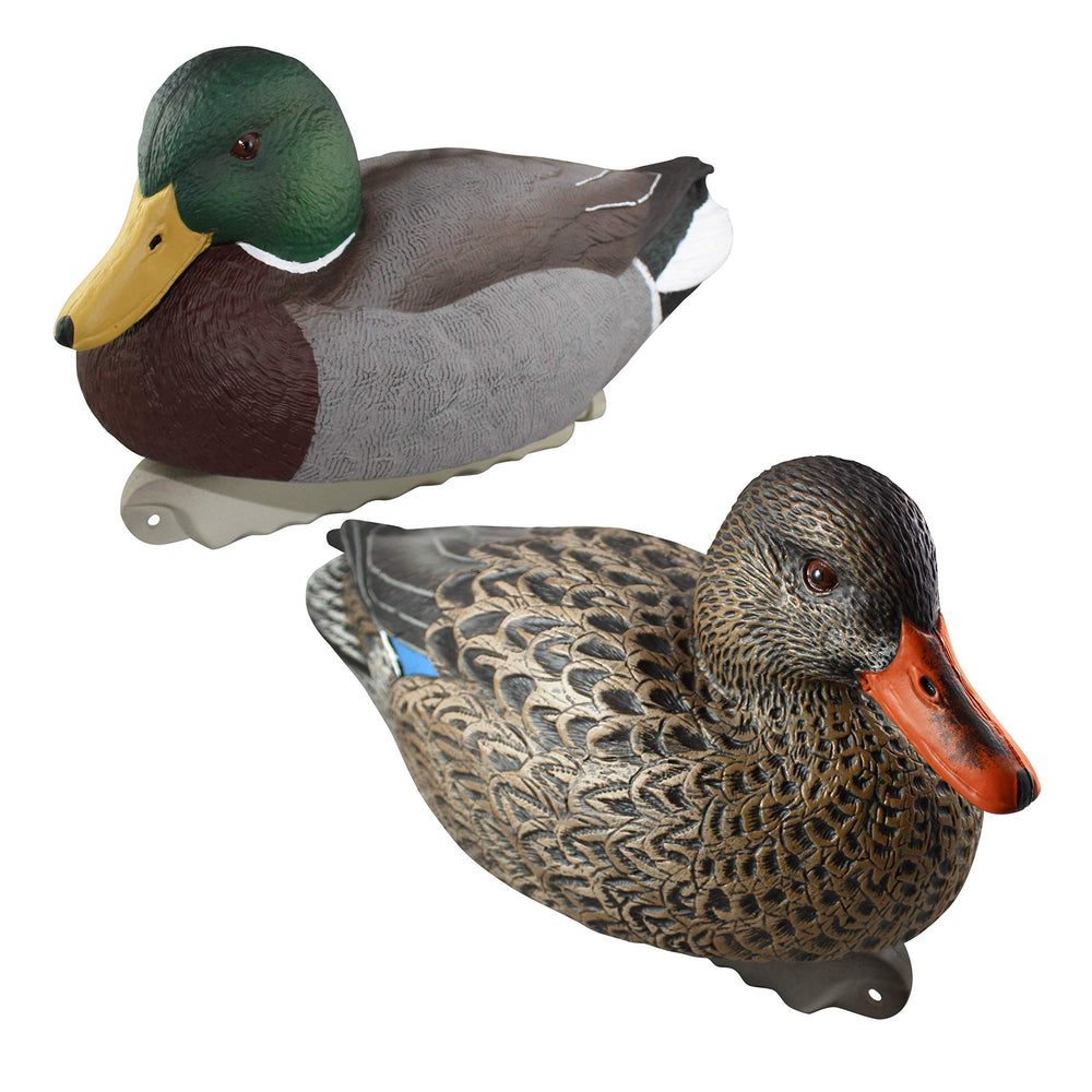 Cupped Waterfowl mallard decoy six-pack with realistic coloring for lifelike field setups.