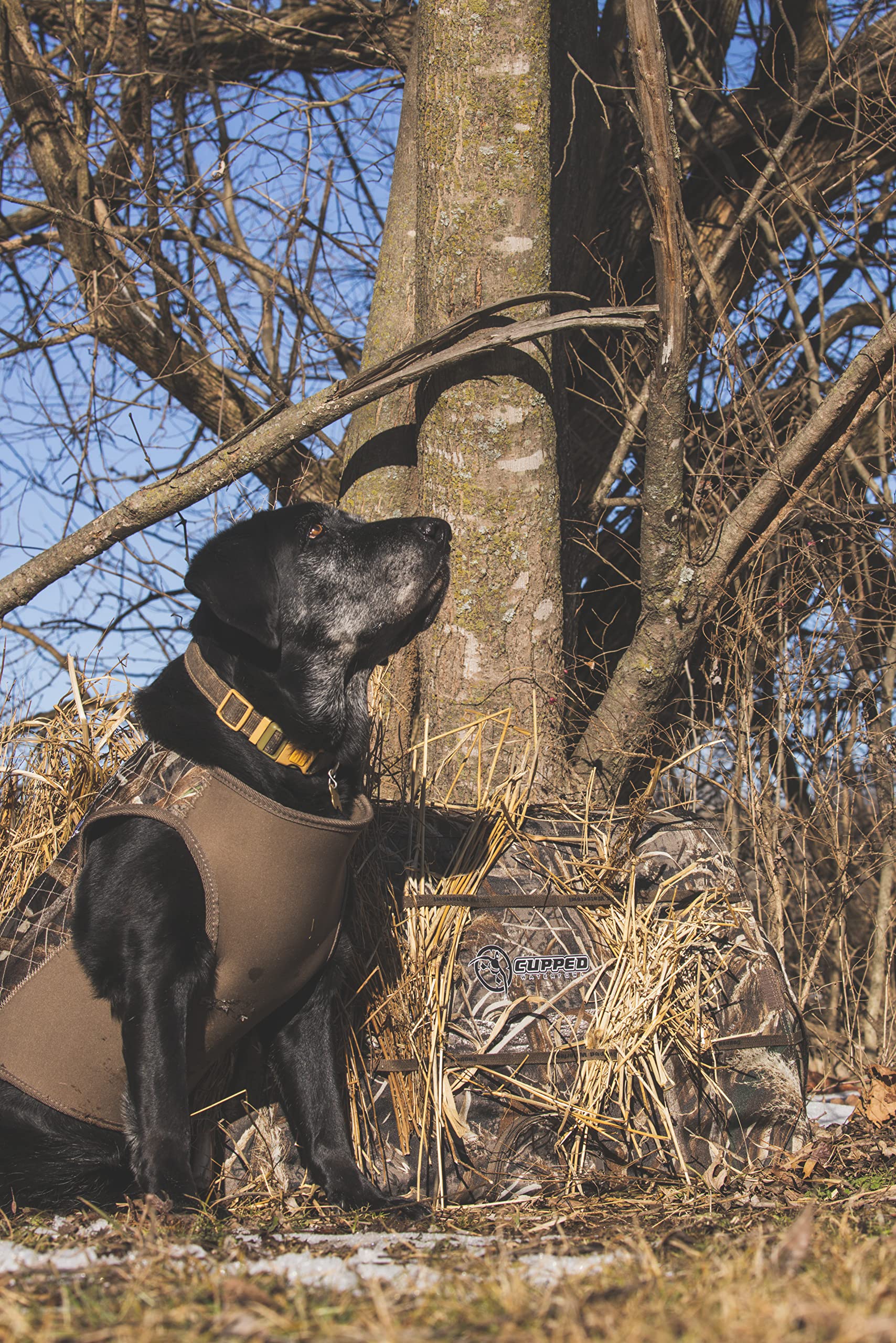 Cupped Waterfowl camo dog vest in action across reeds and shorelines