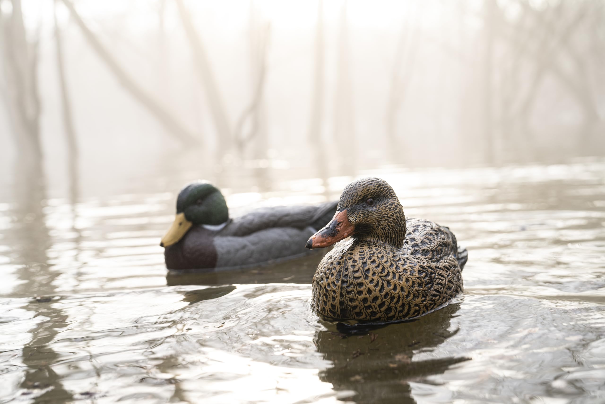 Cupped Waterfowl mallard decoy with bright, lifelike paint for realism.