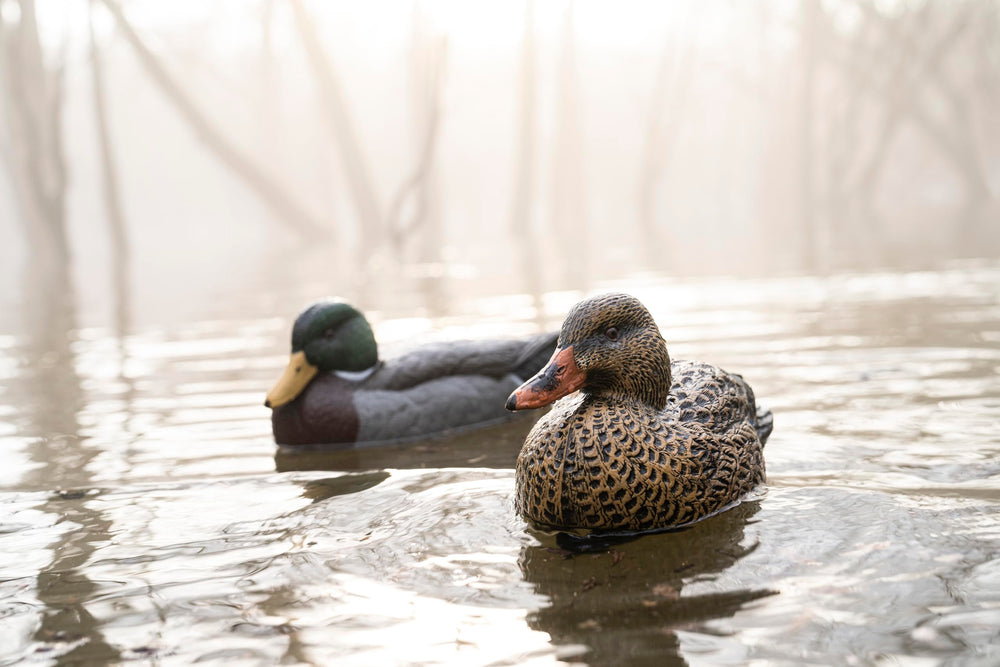 Cupped Waterfowl mallard decoy with bright, lifelike paint for realism.