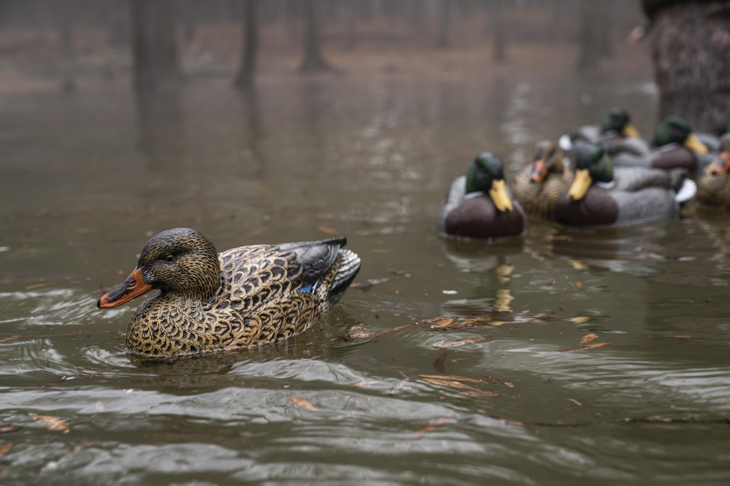 Cupped Waterfowl six decoys ready for quick field setup.