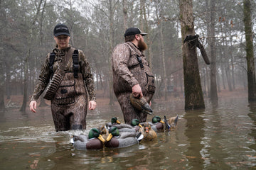 Cupped Waterfowl hunting set designed by guides for successful morning hunts.