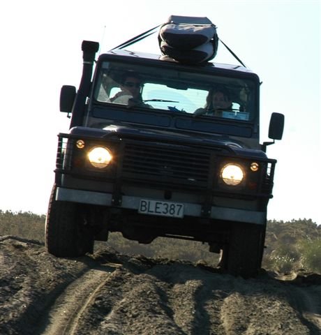 Curve capacity supports 1–4 shortboards or 1–3 longboards on roof.