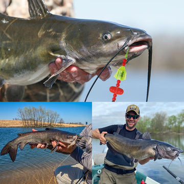 Fluorescent green painted catfish fishing hook