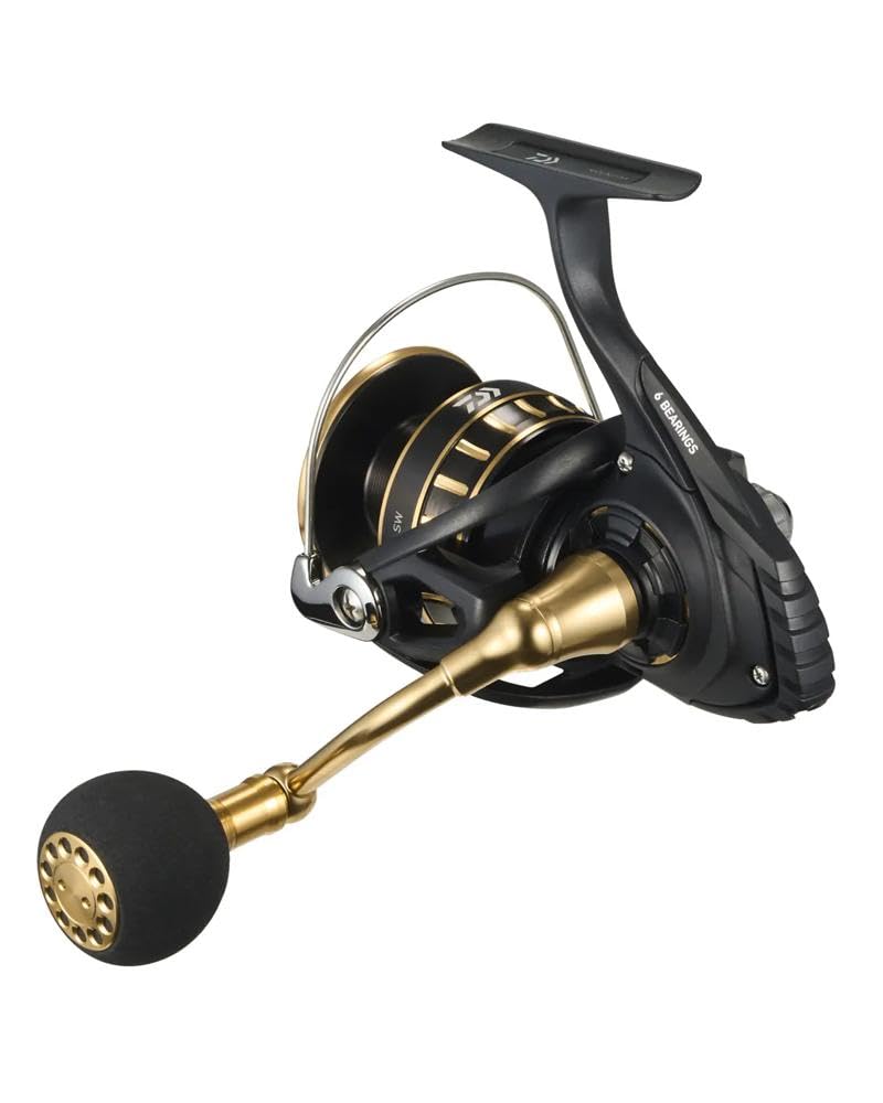 Daiwa 23BG SW 8000-H drag close-up demonstrates precise tuning potential.