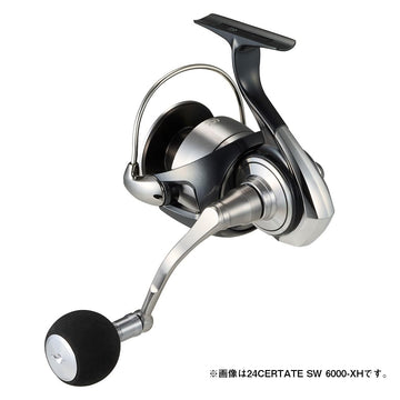 Daiwa 24-celtate duralumin gear closeup for smooth retrieval.