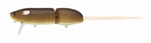 Daiwa CBR-648 Evergreen Combat Rat matte brown wake bait ready for fishing, lifelike prey cue