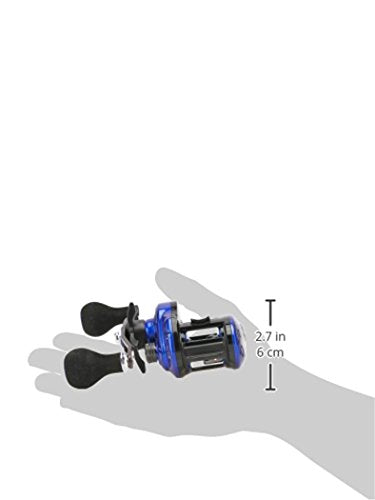 Daiwa Coastal TW 200 handle closeup emphasizing 100mm swept EVA knob for easier cranking