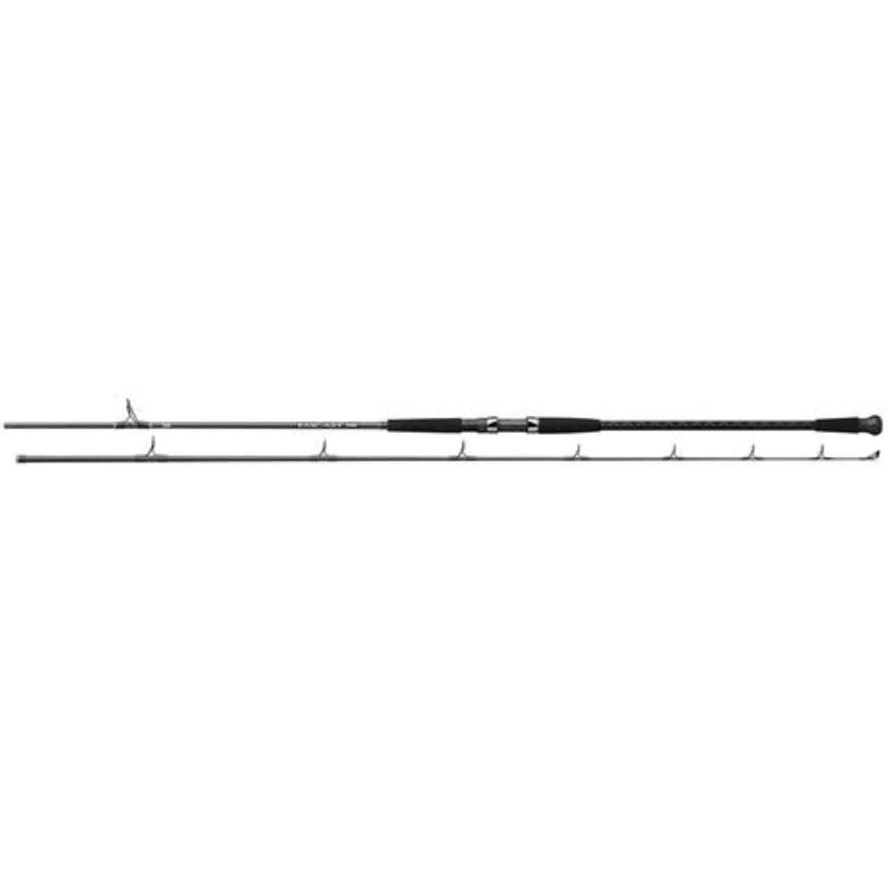 Daiwa Emcast Surf Rod two-piece design for easy transport and versatile use on beaches
