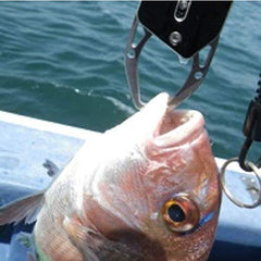 Daiwa Fish Grip V 170 Black hand-hold close-up demonstrates a comfortable grip.