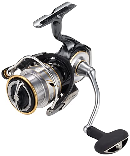 Daiwa LT3000 suitable for both salt and freshwater fishing