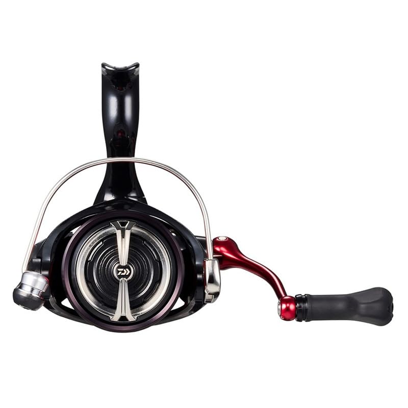Daiwa LT3000 handle close-up with comfortable grip for precise cranking.