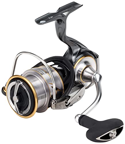 Daiwa LT3000-XH reel suits saltwater species and freshwater finesse.
