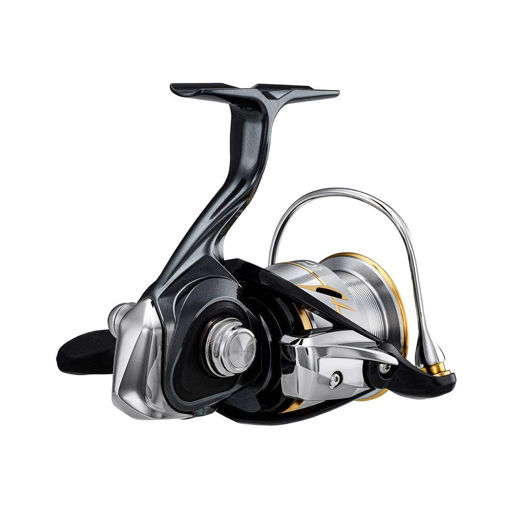 Daiwa LT3000-C with lightweight design supports long fishing sessions.