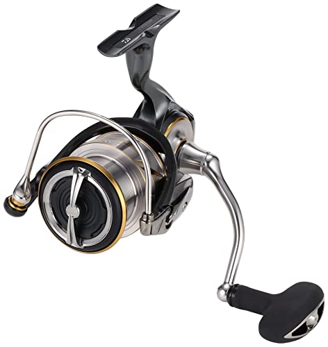 Lake trout fishing scenario with LT4000-CXH on the water edge.