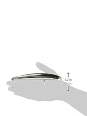 Daiwa Salt Pro Minnow Chrome lure with realistic scales and 3-D eyes to attract strikes.