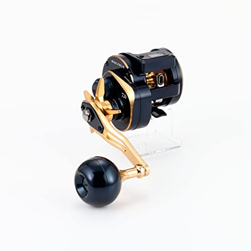 Daiwa Saltiga IC 300 suited for light to medium jigging offshore.