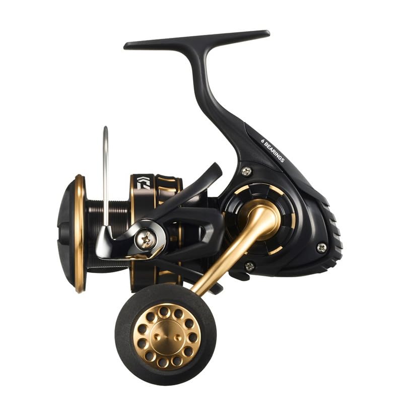 Daiwa Shore Jigging Spinning Reel 23BG SW 4000D-CXH gear 6-2 for fast retrieves