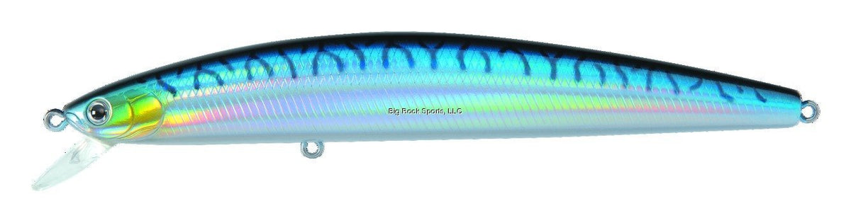 front view of Daiwa SP Minnow DSPM15F24 in blue mackerel pattern that boosts predator visibility