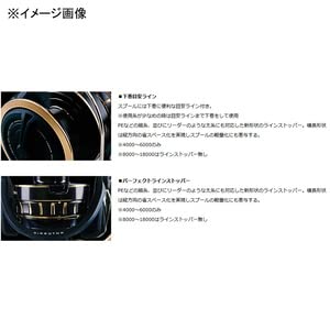 Daiwa 23BG SW 6000D-P in-action captures confident casting in blue-water conditions.