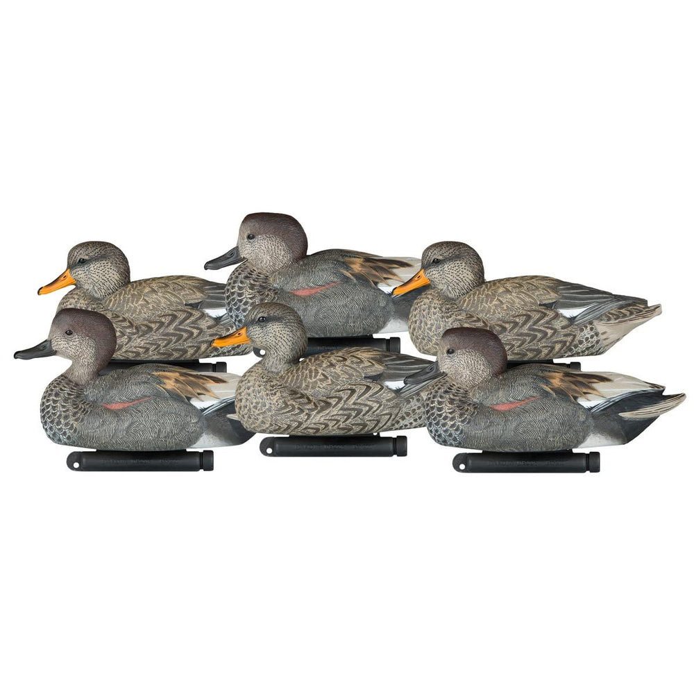 Dakota Decoy 17500 Gadwall front view with realistic plumage and bold presence