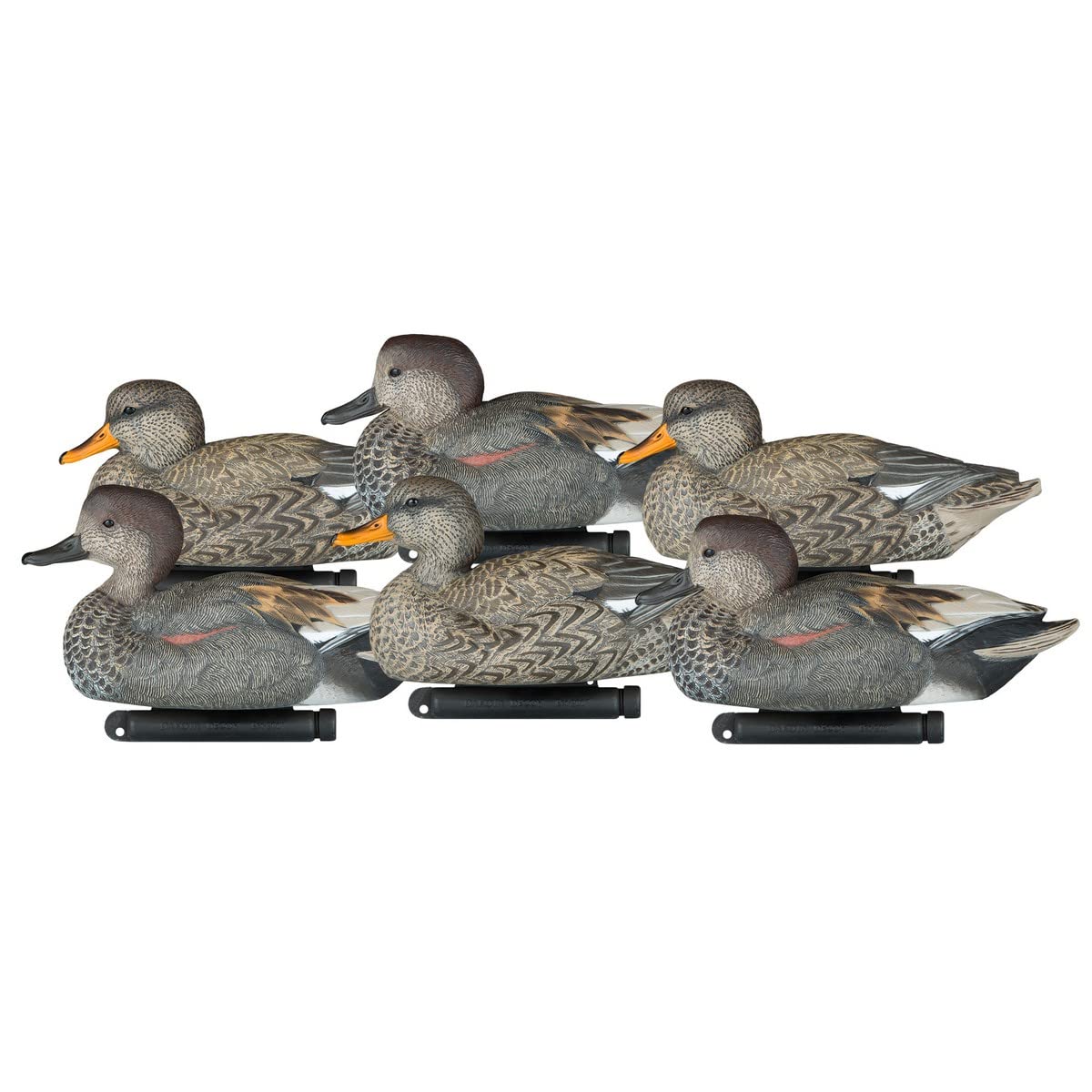 Dakota Decoy 17500 Gadwall front view with realistic plumage and bold presence