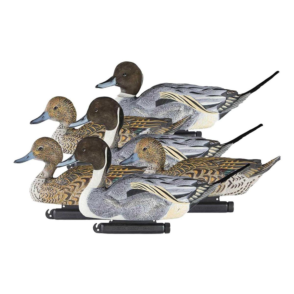 Dakota Decoy X-Treme Pintails pack shows drakes and hens with lifelike coloring for convincing spreads.