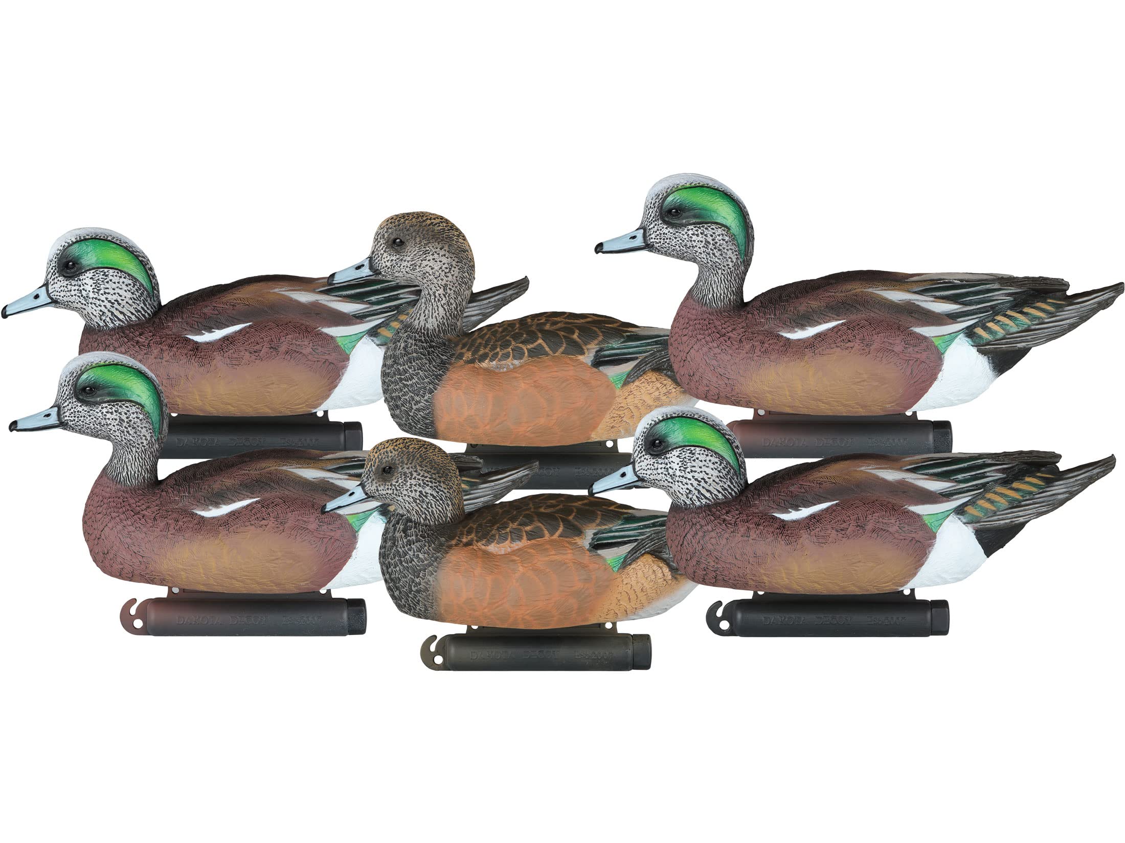 Dakota Decoy X-Treme Wigeon duck decoy pack with lifelike iridescent heads for realism on the water.