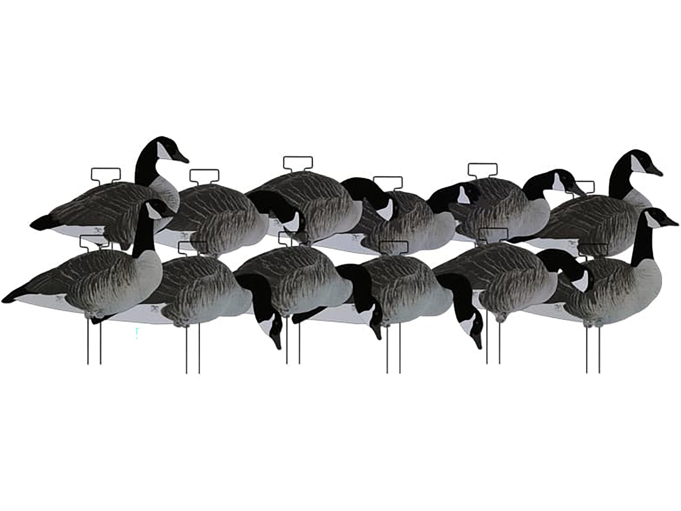 Dakota Decoy X-Treme Silhouettes Canada Goose 12-pack with flocked heads and tails for realistic concealment.