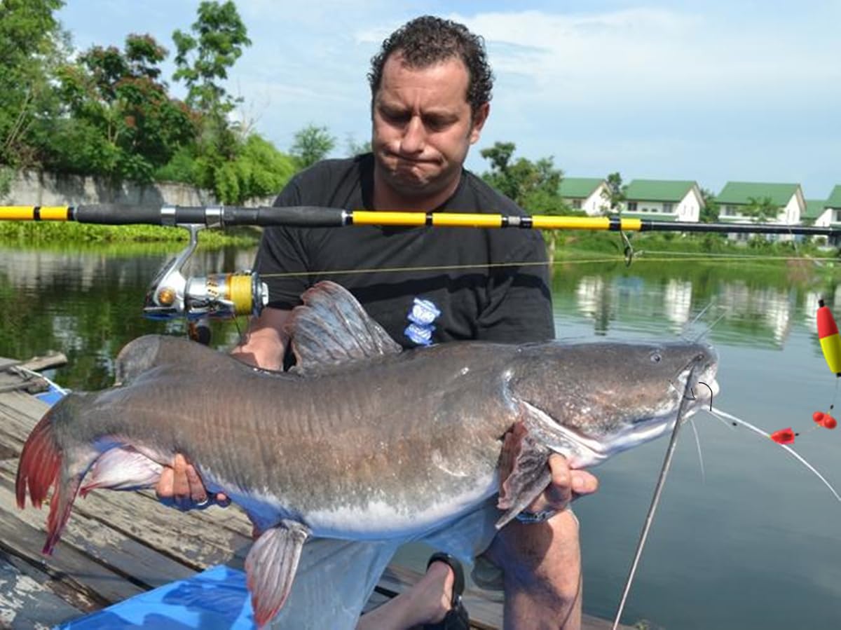 Catfish rigs in freshwater and saltwater fishing settings