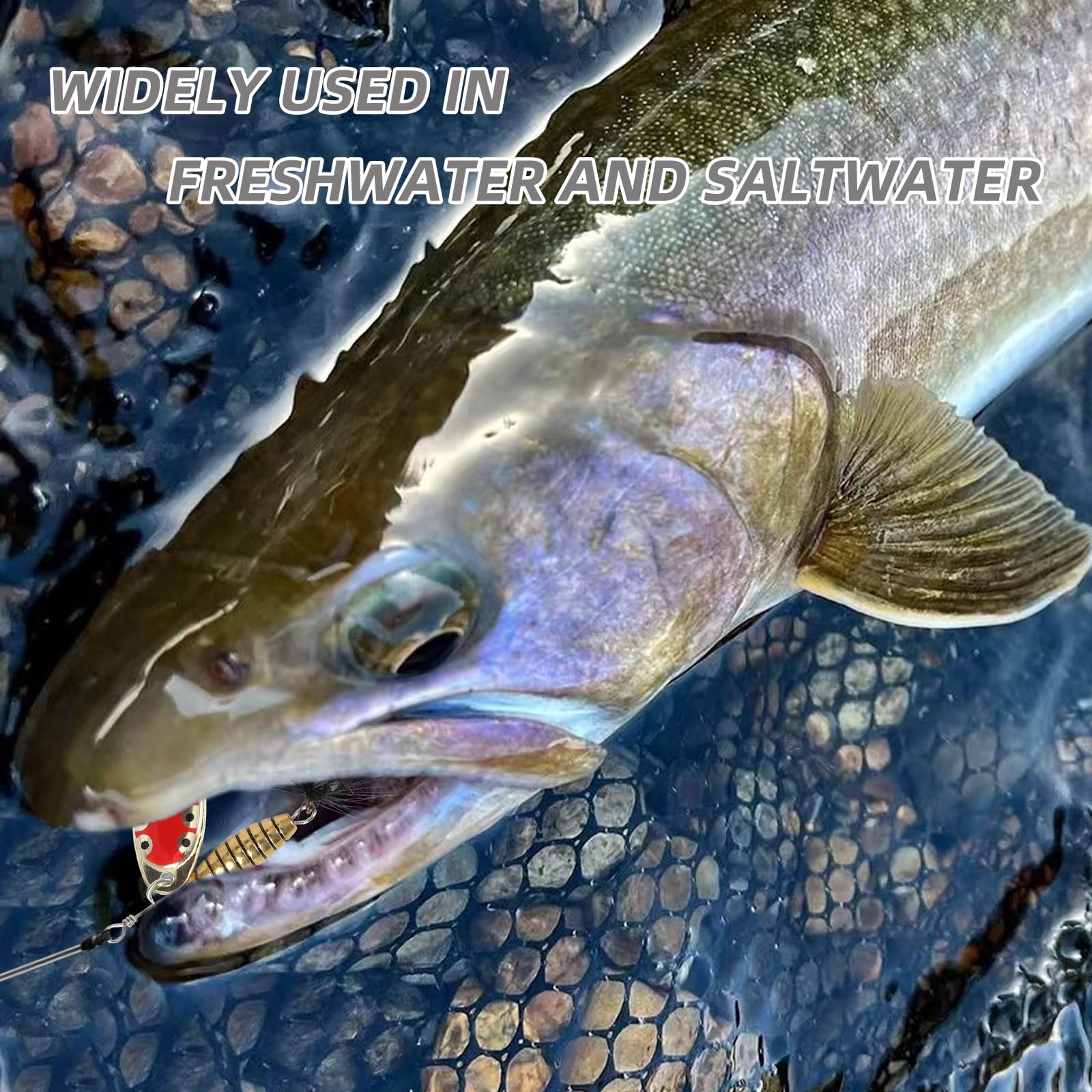 Suitable for saltwater and freshwater fishing in tackle box with six lures