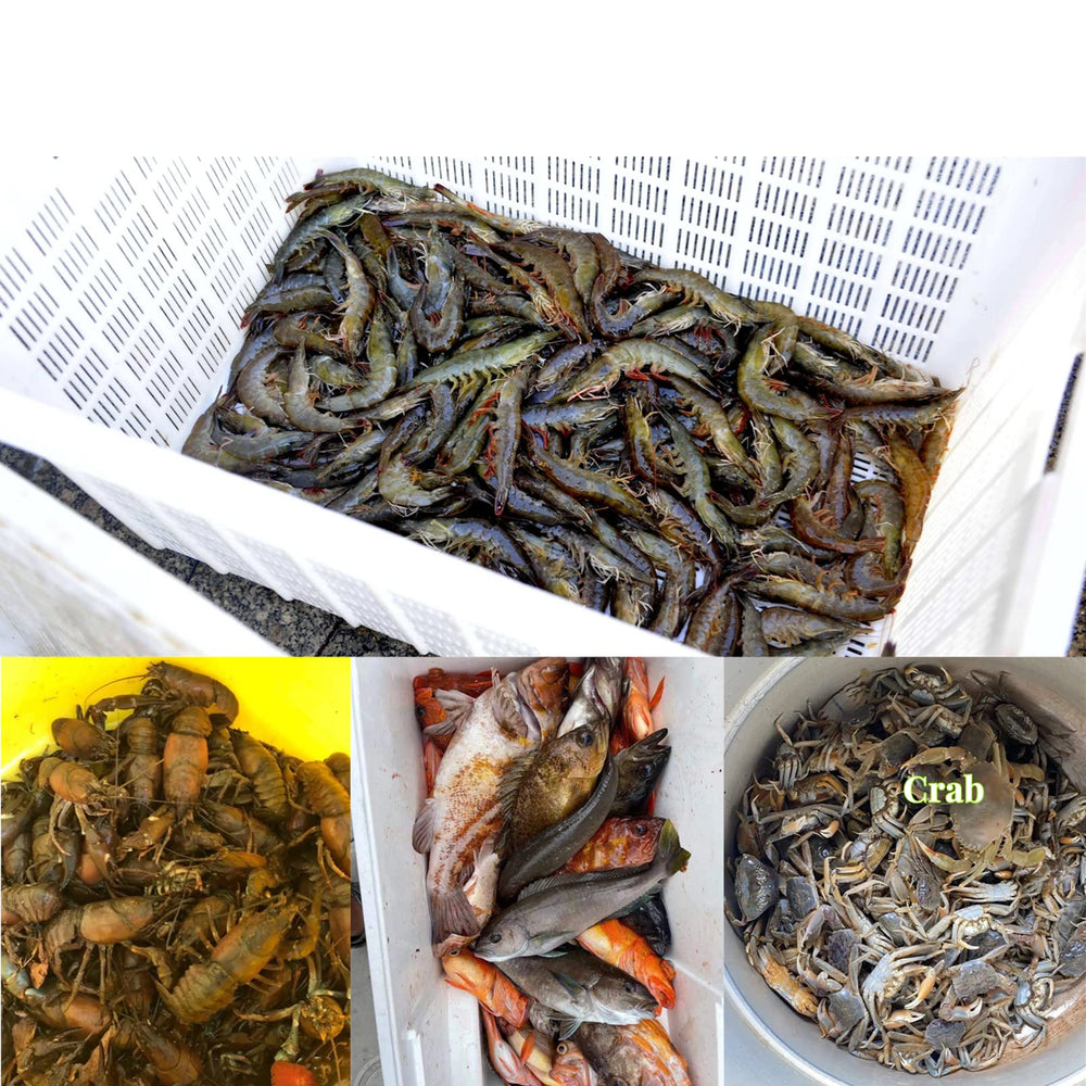 Suitable for both freshwater and saltwater fishing