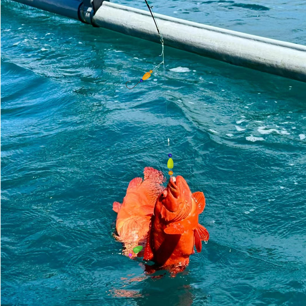 Recommended fish targets and rig usage