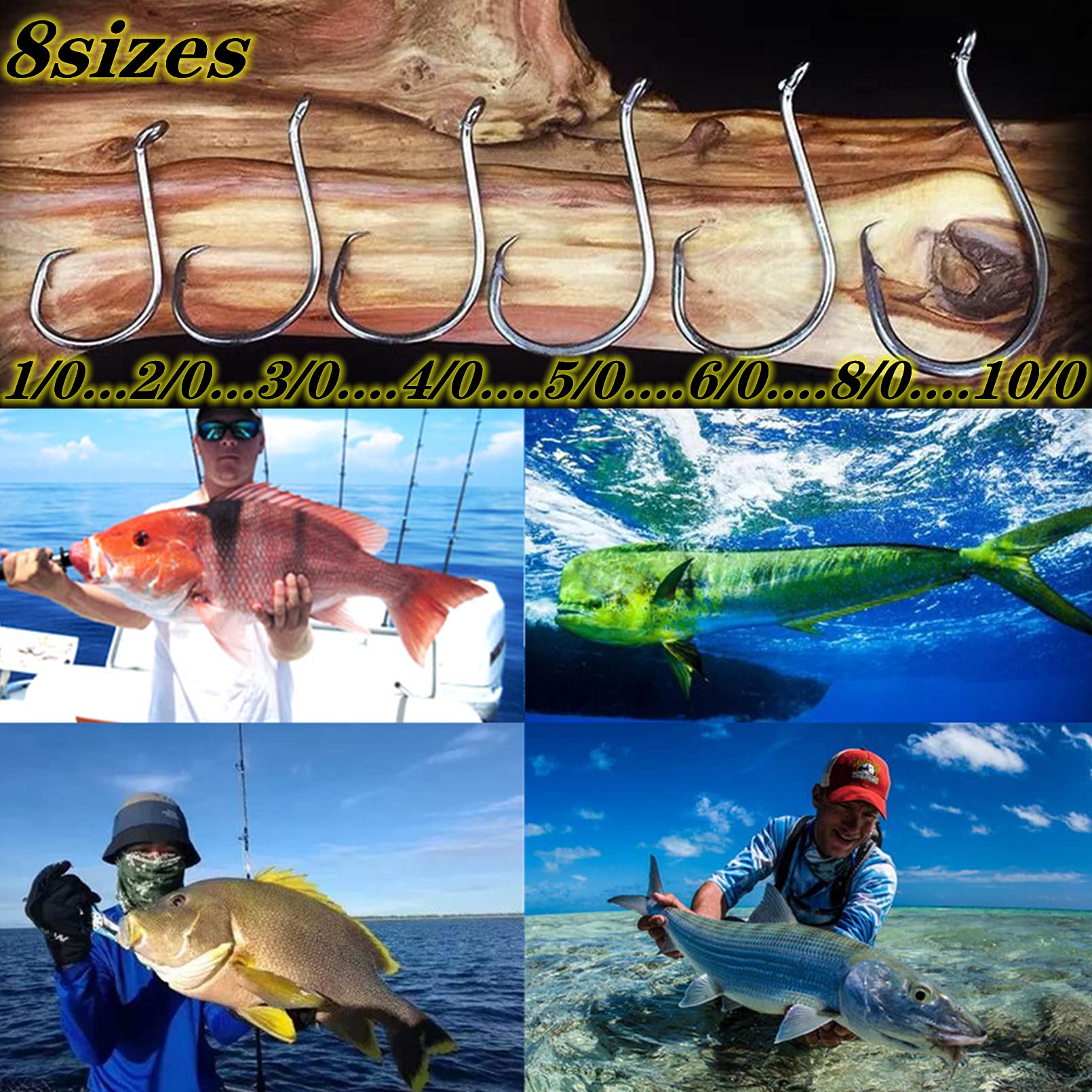 Predator fish targets: bass, pike, trout, muskie, catfish