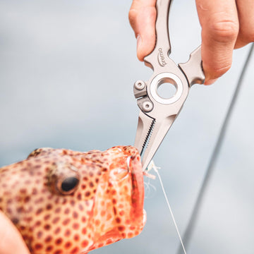 Danco Premio in action during fly fishing dehooking tasks.