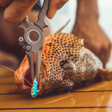 Danco Premio titanium pliers demonstrating saltwater resistance for harsh marine environments.