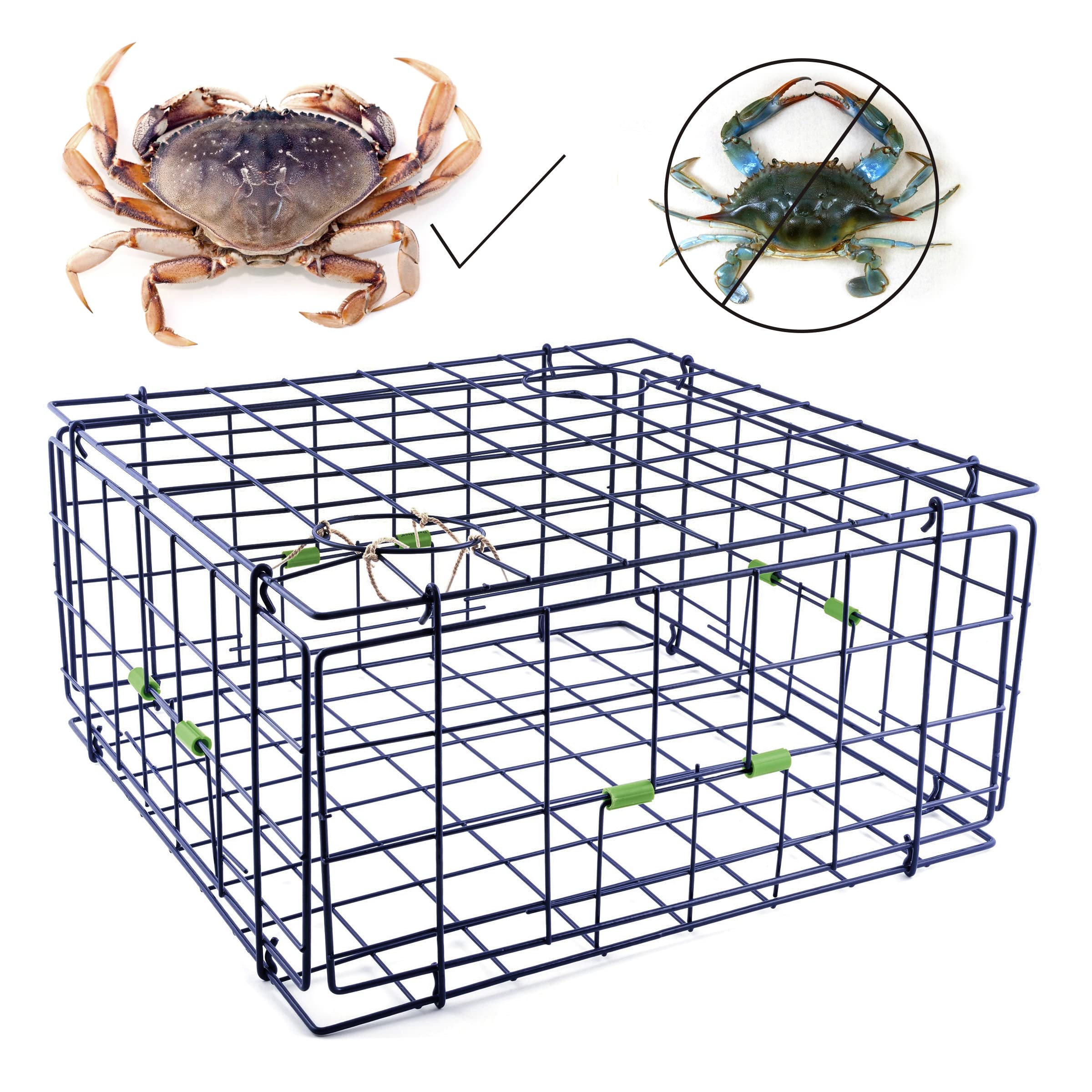 Close-up of vinyl coated steel wire on Danielson crab trap
