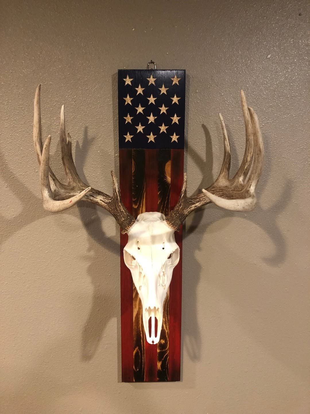 DAOIDE perfect prey display rack for antlers or skulls in any room