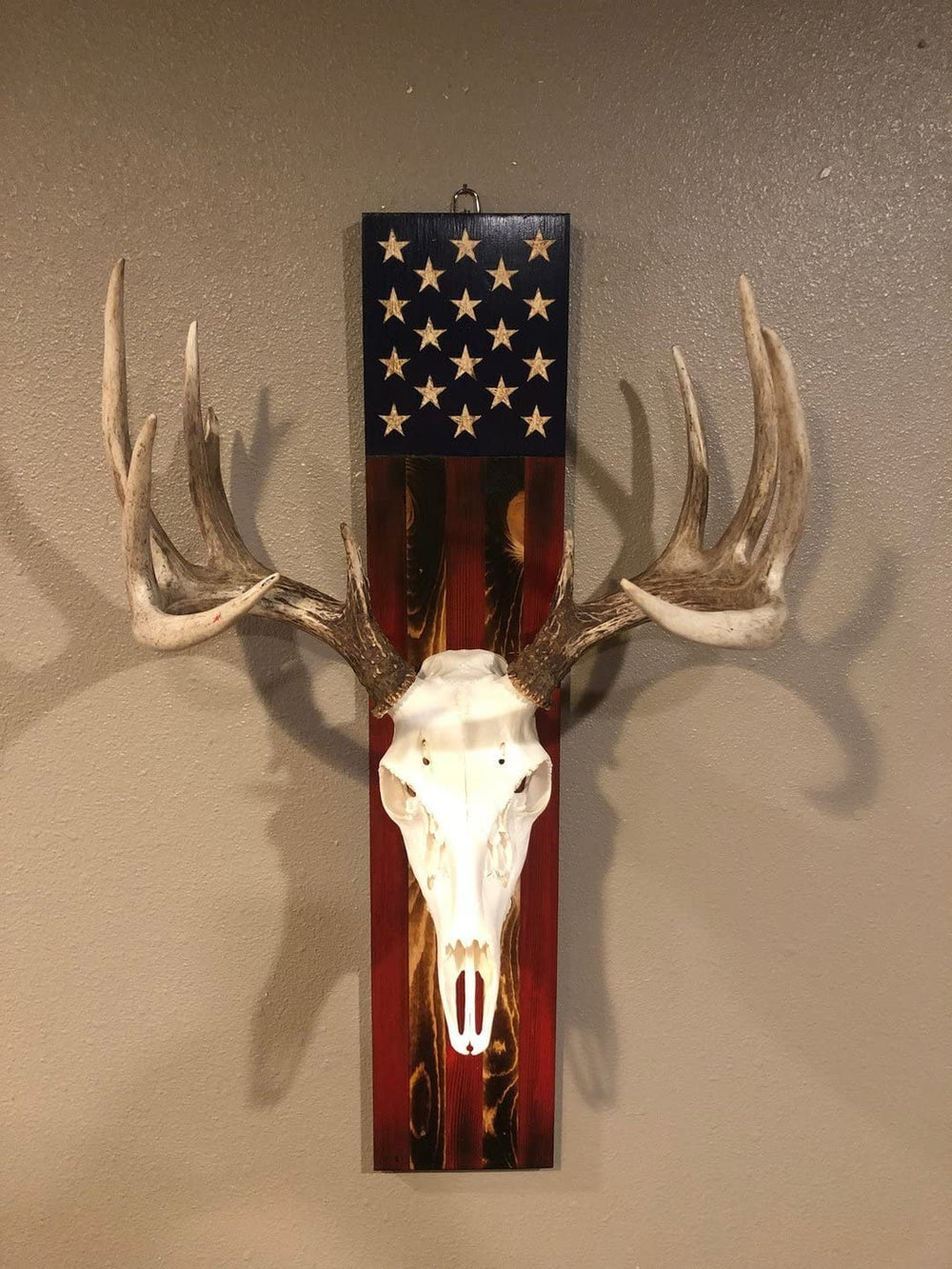 DAOIDE perfect prey display rack for antlers or skulls in any room