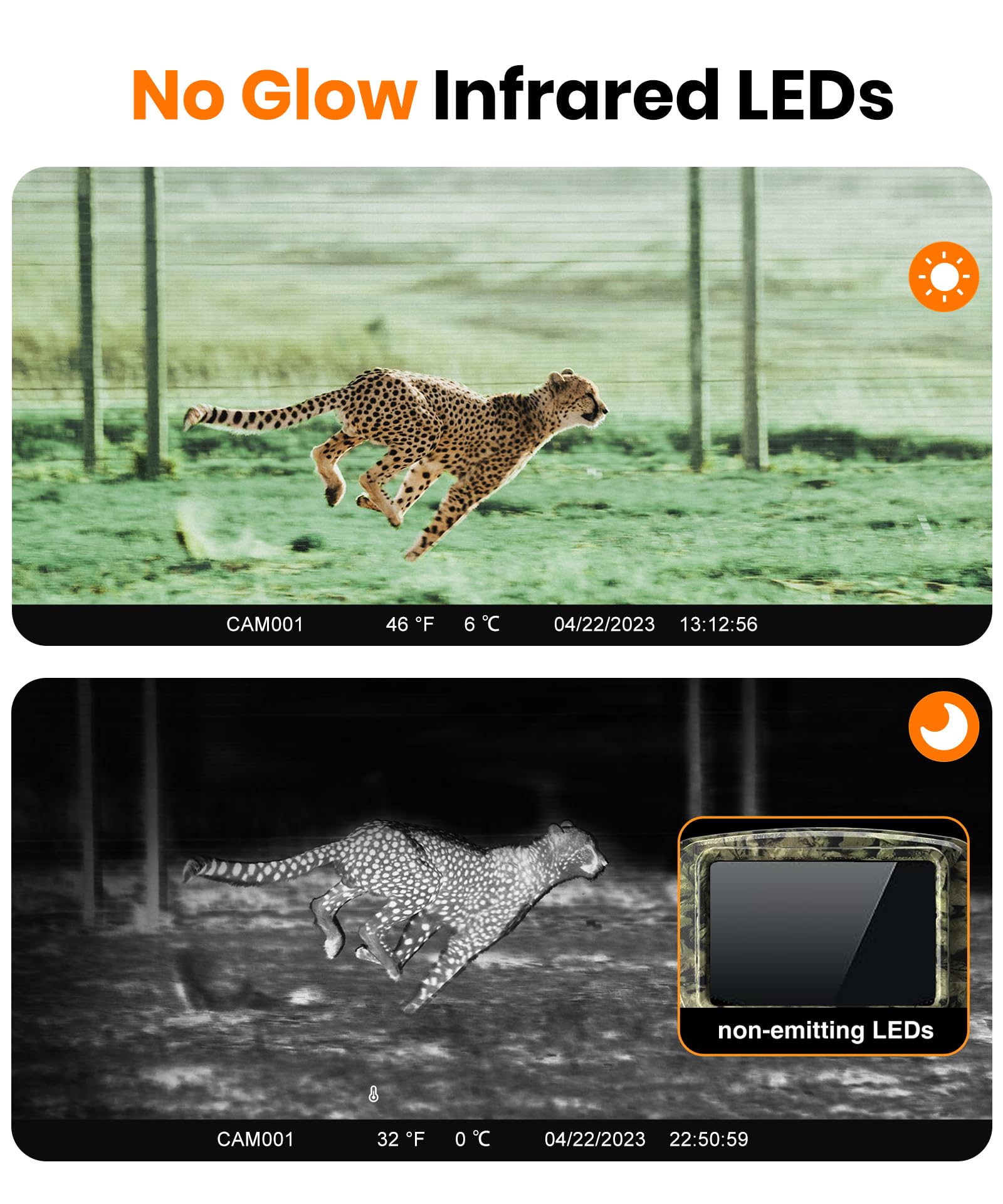 Dargahou 4K 48MP image quality delivers crisp trail footage