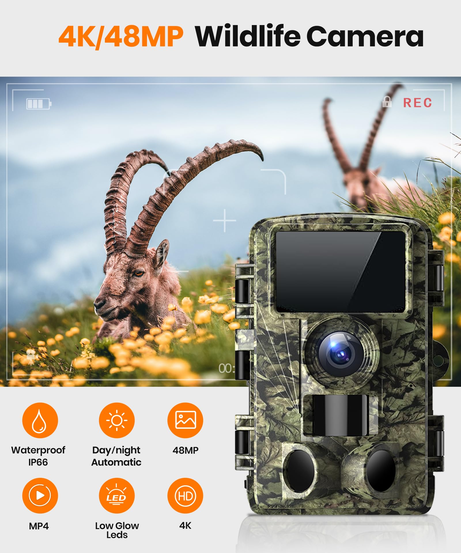 Dargahou trail camera night vision provides clear nighttime wildlife records