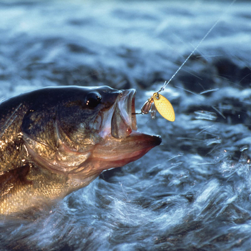 dcvbny high-quality iron blades resist wear and corrosion on tough fishing days