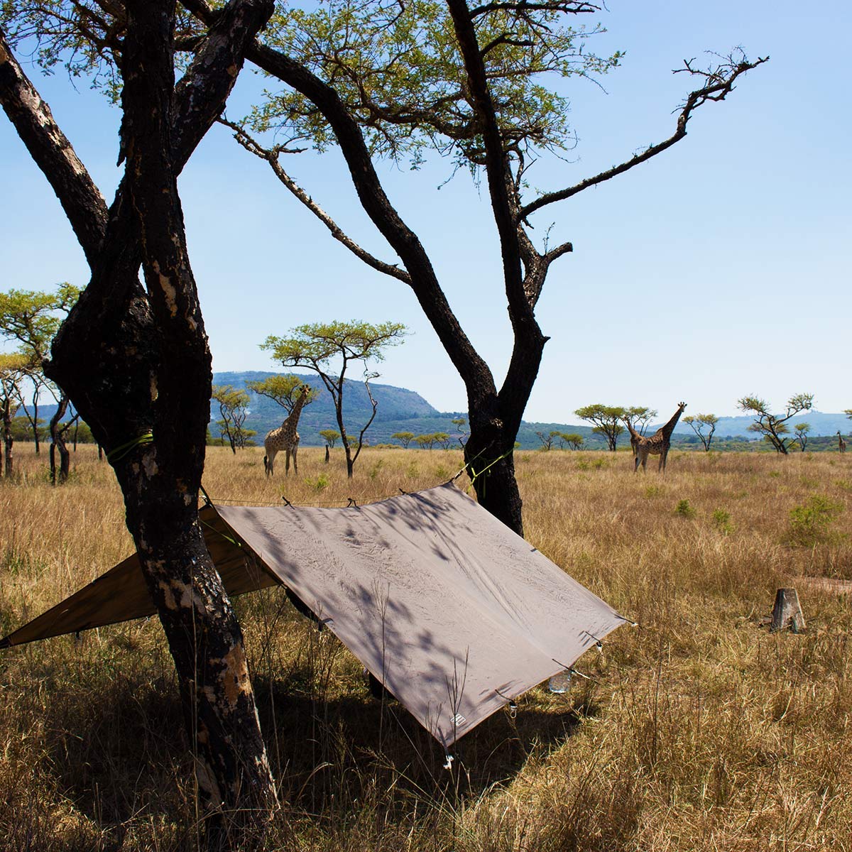 DD Hammocks DD Tarp 3x3 Coyote Brown ready-to-pitch out of the stuff-sack.