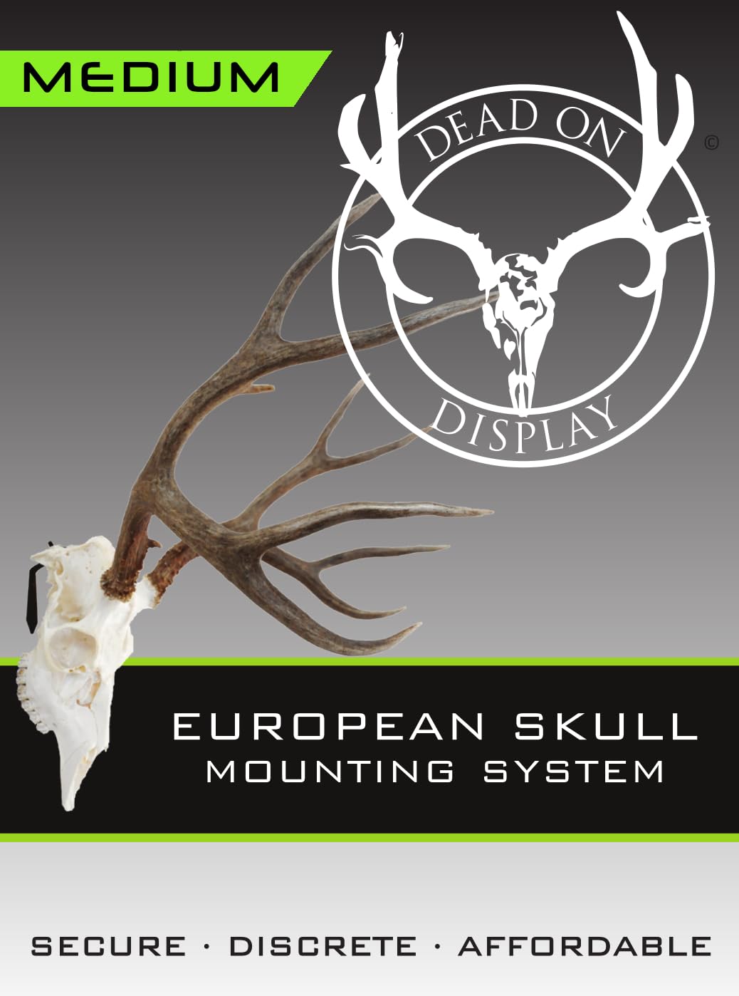 DEAD ON DISPLAY european-skull-bracket secure internal locking detail