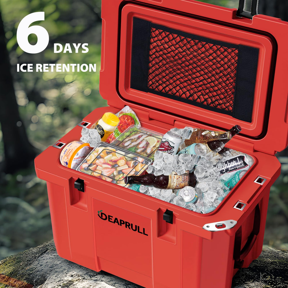 DEAPRULL 60QT hard cooler open lid reveals spacious interior for meals and drinks