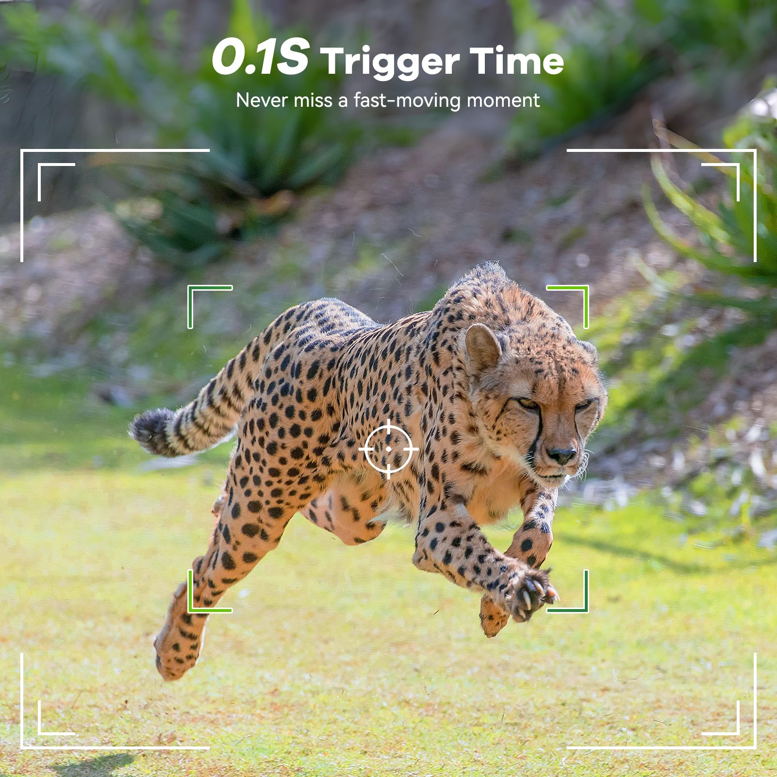DEATTI trail camera Bluetooth hotspot enables remote access from your phone