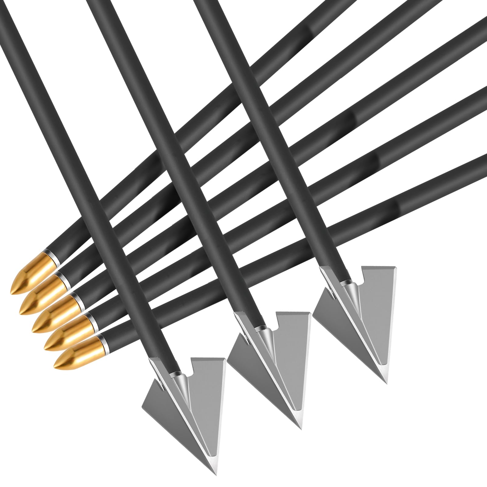 DEEPOWER arrows ready for target practice and field shooting