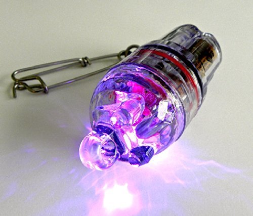 Deep Drop LED Fishing Light UV Purple at 2100 ft depth